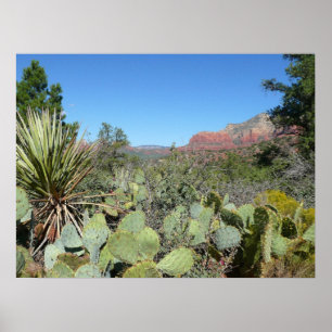 Rode rotsen en cactussen I Poster