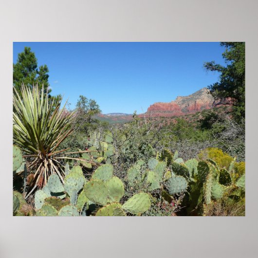 Rode rotsen en cactussen I Poster (Voorkant)