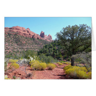 Rode rotsen en cactussen II in Sedona Arizona