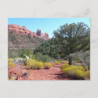 Rode rotsen en cactussen II in Sedona Arizona