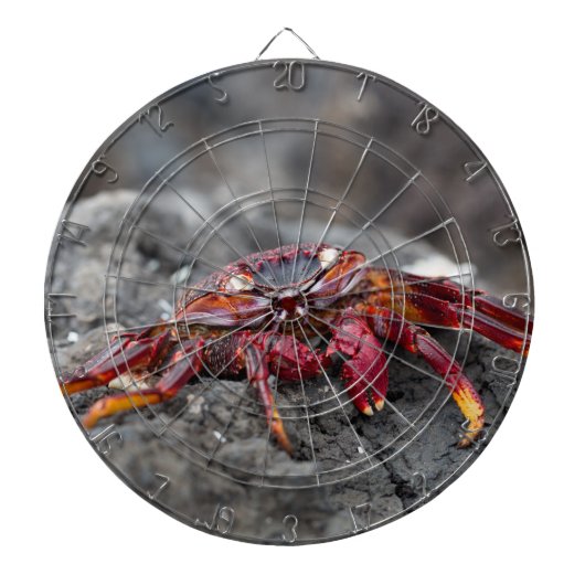 Rode rotskrab dartbord (Voorkant)