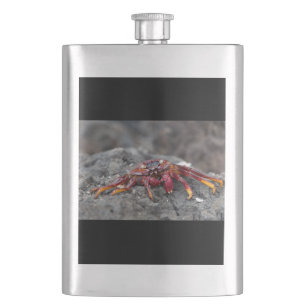 Rode rotskrab flacon