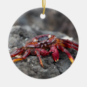 Rode rotskrab keramisch ornament (Voorkant)