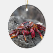 Rode rotskrab keramisch ornament (Links)