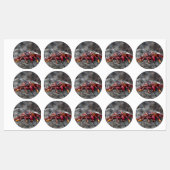 Rode rotskrab labels (Vel)