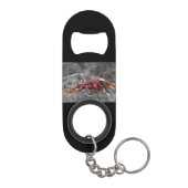 Rode rotskrab mini flessenopener (Achterkant)