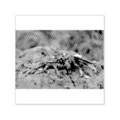 Rode rotskrab  zelfinktende stempel (Design)