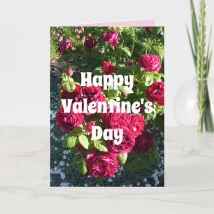 Rode roze bloem  Rozen Valentijnse Kaart