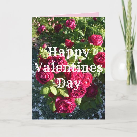 Rode roze bloem  Rozen Valentijnse Kaart (Voorkant)