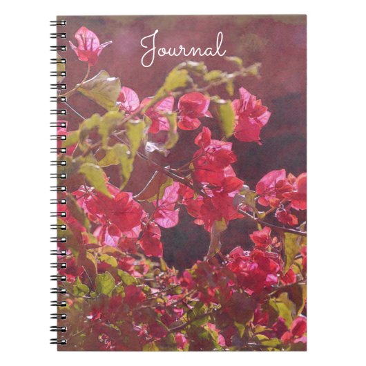 Rode Roze Bloemen in Zonneschijn Journal Notebook Notitieboek (Voorkant)