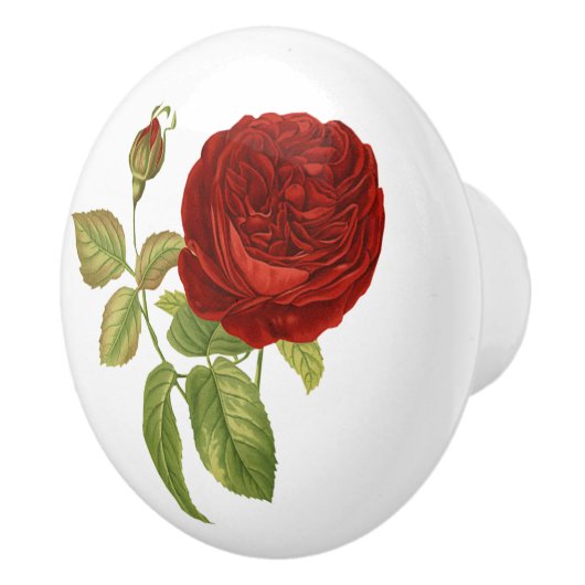  rode roze botanisch keramische knop (Rechts)