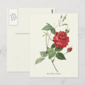  rode roze botanische afdrukken briefkaart (Voorkant / Achterkant)
