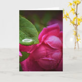 Rode roze en regendruppels, kaart (Gele Bloem)