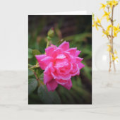 Rode roze en regendruppels, kaart (Gele Bloem)