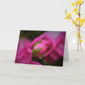 Rode roze en regendruppels, kaart (Gele Bloem)