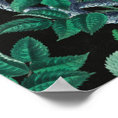  rode roze en slang poster (Hoek)