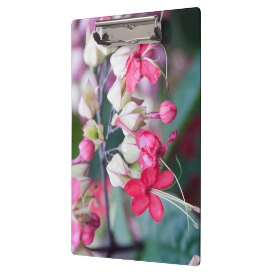 Rode roze en witte tropische bloemen klembord (Links)