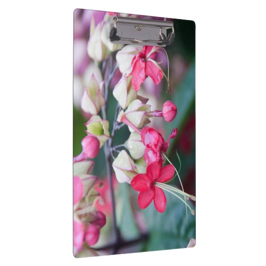 Rode roze en witte tropische bloemen klembord (Rechts)