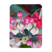 Rode roze en witte tropische bloemen magneet (Verticaal)