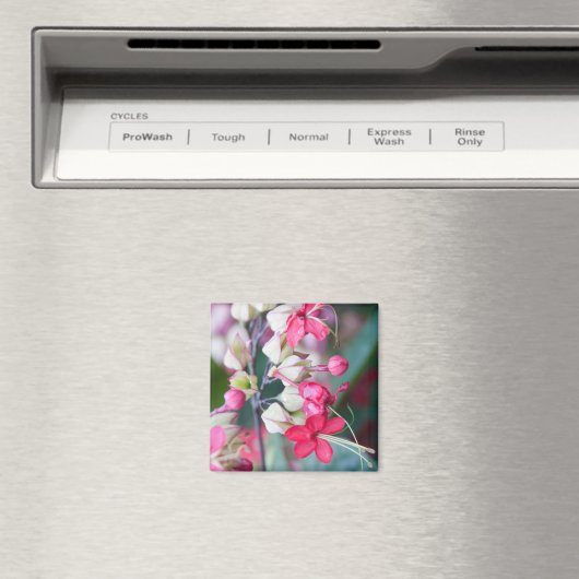 Rode roze en witte tropische bloemen magneet (Insitu (Vaatwasser))