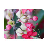Rode roze en witte tropische bloemen magneet (Horizontaal)