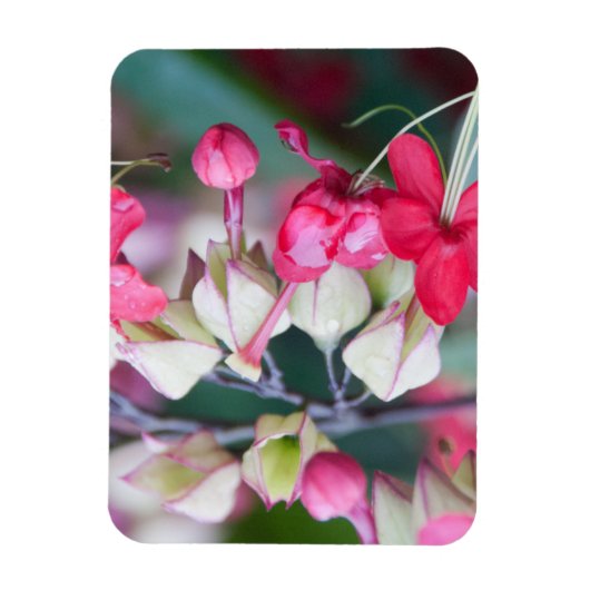 Rode roze en witte tropische bloemen magneet (Verticaal)