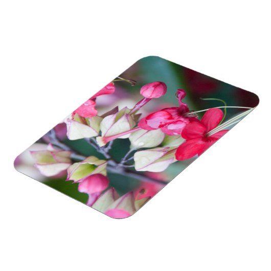 Rode roze en witte tropische bloemen magneet (Linkerzijde)