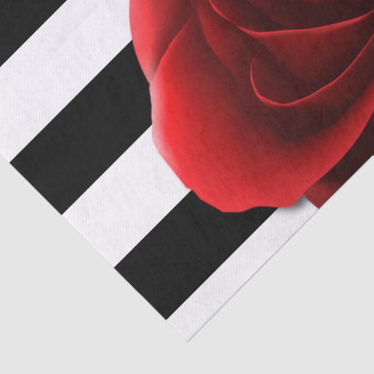 Rode roze en zwarte witte strepen tissuepapier (Detail)