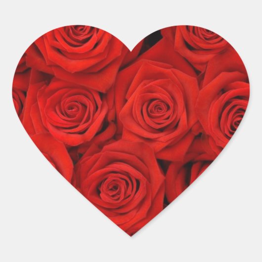 RODE ROZE HART STICKERS EN ENVELOP AFDICHTINGEN (Voorkant)