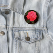 Rode roze knop ronde button 5,7 cm (In situ)