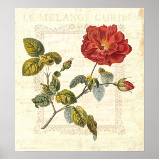  rode roze landenkastlegantie poster (Voorkant)