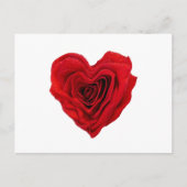 Rode roze met een hartvorm briefkaart (Voorkant)