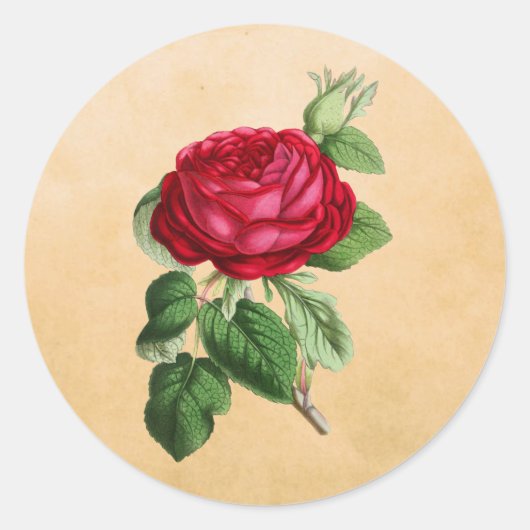  rode roze op een Faux Tan Leather Achtergrond Ronde Sticker (Voorkant)
