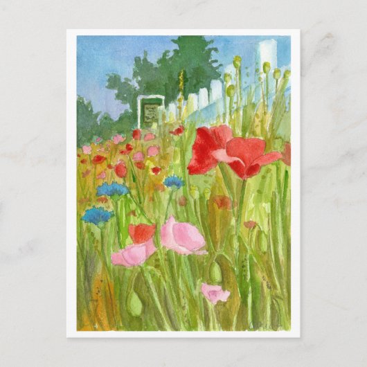 Rode roze papaver Waterverf bloemen Briefkaart (Voorkant)