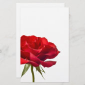 Rode roze - Rozen Gepersonaliseerd Sjabloon Briefpapier (Voorkant / Achterkant)