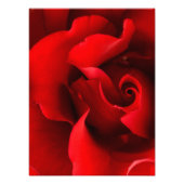 Rode roze - Rozen Gepersonaliseerd Sjabloon Foto Afdruk (Voorkant)