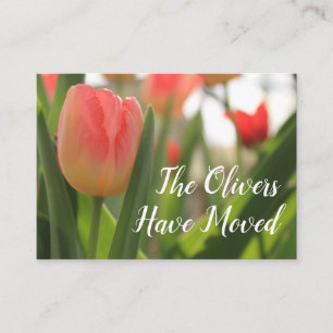 Rode & Roze Tulp Foto Adreswijzigingskaart Visitekaartje