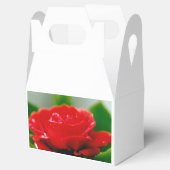 Rode roze van passie bedekt met dauwdruppels bedankdoosjes (Geopend)