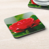 Rode roze van passie bedekt met dauwdruppels bier onderzetter (Linkerzijde)