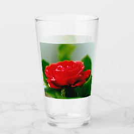 Rode roze van passie bedekt met dauwdruppels glas