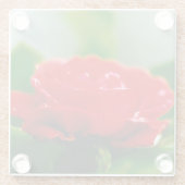 Rode roze van passie bedekt met dauwdruppels glazen onderzetter (Achterkant)