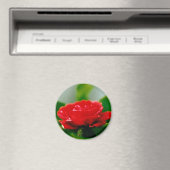 Rode roze van passie bedekt met dauwdruppels magneet (Insitu (Vaatwasser))