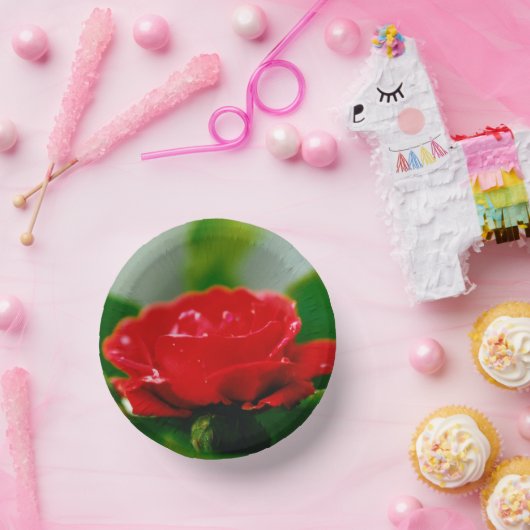 Rode roze van passie bedekt met dauwdruppels papieren kommen (Feest)