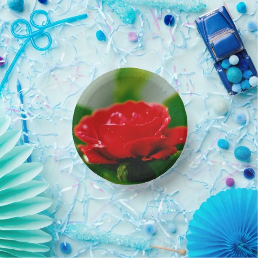 Rode roze van passie bedekt met dauwdruppels papieren kommen (Feest)