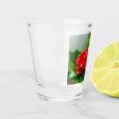 Rode roze van passie bedekt met dauwdruppels shot glas (Links)