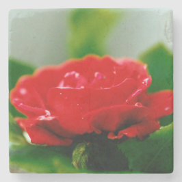 Rode roze van passie bedekt met dauwdruppels stenen onderzetter