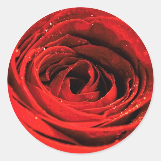 Rode roze vlakke Valentijnse plaat Ronde Sticker (Voorkant)