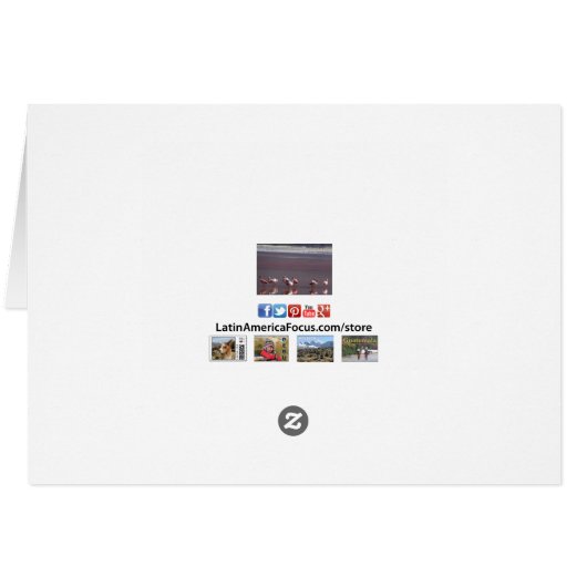 Rode roze vlamingvogels - Kaarten voor waterreflec (Achterkant Horizontaal)