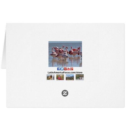 Rode roze vlammen in het Wenskaart water (Achterkant Horizontaal)