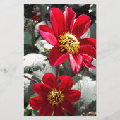 rode, roze vleermuis / melkbloemen briefpapier (Voorkant)